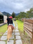 🤎🐴🍃서울 근교 남양주 비스타밸리 아이랑 가볼만한 곳 승마체험 안하더라도 정원에서 놀고 꼰파파에서 밥 먹고 가을 나들이 가능해요...