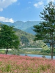 동강대학교학생회관구내매점 | 제6회 동강 붉은메밀꽃 축제 25.10.01 • 기간 : 2025.10.01(수) ~ 10.19(일) • 장소 : 영월 삼옥 2리 마을회관 • 시간 : 09:00 ~ 17:00 • 입장료...