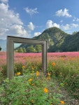 동강대학교학생회관구내매점 | 제6회 동강 붉은메밀꽃 축제 25.10.01 • 기간 : 2025.10.01(수) ~ 10.19(일) • 장소 : 영월 삼옥 2리 마을회관 • 시간 : 09:00 ~ 17:00 • 입장료...