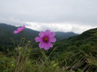 이지바이(봉화산점) | 봉화산