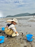아이와 당일치기 여행으로 다녀온 🌊 선재어촌체험마을🐚 갯벌 체험부터 조개잡이, 낚시까지 즐길 거리가 가득해서 아이가 시간 가는 줄 모르고...