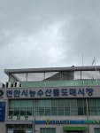 Photo des résultats de recherche Naver 4