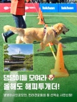 Foto de resultados de búsqueda de Naver 5