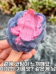 GS25구미점보점 | #내돈내산#프로즌포도소르베 ★구매처:#편의점#GS25 ★가격:4,900원 이것도 과일별로 계속 나오네요~ 이번엔 포도맛이 나왔는데 마이구미가...