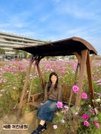 Foto aus Naver-Suchergebnissen 1