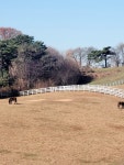 마사회새마을금고 원당목장직원식당 | #오늘여기클립#한국마사회원당목장 #산책하기좋은곳