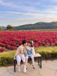 รูปภาพผลการค้นหา Naver 5
