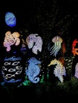 Foto aus Naver-Suchergebnissen 4