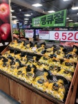 땡큐절 행사중인 롯데마트 금천점 #오늘여기클립 #롯데마트금천점