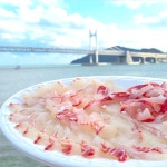 부산 광안리 회 맛집 조은상회 #오늘여기클립 #조은상회 #민락회센터 #광안리회포장