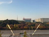 비즈니스 회의로 찾은 자리였지만, 창밖으로 펼쳐진 황금빛 가로수길 덕분에 잠시 마음이 쉬어가는 느낌. 회의실 대관도 편리하고, 컨퍼런스나...