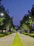 삼성웰스토리(주)연세대신촌캠퍼스 | #오늘여기클립 #연세대학교신촌캠퍼스 #연대캠퍼스 #연세대학교