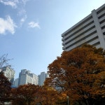 (주)코리아세븐 잠실장미점 | #오늘여기클립#잠실장미아파트
