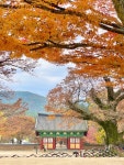 전북 부안군 보안면 남포리 638-7 | ------------------------------ 📍전북 가볼만한곳 부안 내소사 🕒 매일 운영 하절기 6:00-19:00 동절기 7:00-18:00 🅿️ 변산반도 국립공원...