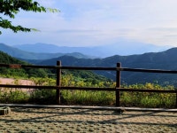 2025.07.11 황매산 미리내파크 오토캠핑장 사이트 A3 모습입니다. #오늘여기클립
