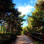 논현근린공원 가볍게 산책하기 좋은 공원이에요. 배드민턴장, 운동기구가 있고 오르막길이라 운동하러 가기 좋아요. #오늘여기클립...
