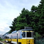 Foto aus Naver-Suchergebnissen 3