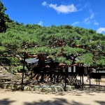 #오늘여기클립 #석파정 #석파정서울미술관