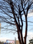 Hello Park 서울 남현점 | #오늘여기클립#사당역서울둘레길#공원#남현예술정원