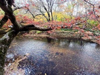 선운산 도립공원 선운사 가는 길 #클립챌린저 #선운산
