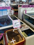 한우삼형제직판장 | 클립챌린저 #형제수산 #경주여행 #경주감포여행 #감포맛집 #감포횟집 #감포회센터 #회포장 #감포형제수산 #회 #수협활어직판장