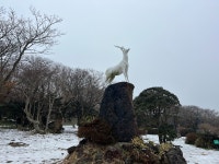 #오늘여기클립 #1100고지습지 #한라산