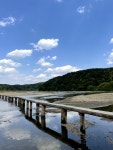 영주가면 꼭 방문해야 한다는 곳-!! #오늘여기클립 #영주 #무섬교 #영주무섬교 #영주무섬외나무다리 #무섬외나무다리 #영주가볼만한곳