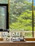 부산 만덕 덴바스타 포레스트 호텔에서의 하루, 숲 속 분위기에 감싸여 마음이 참 편안했어요. 나무 냄새와 부드러운 햇살이 어우러진 공간이라...