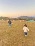 Foto aus Naver-Suchergebnissen 6