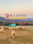 Foto aus Naver-Suchergebnissen 1
