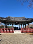 지금 가면 좋은곳! #한산도 #제승당 배티고 갈매기 밥주기.. 아이들과 갈만한곳 추천합니다.