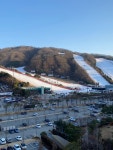 소노펠리체cc 비발디파크 #오늘여기클립 #클립크리에이터 #클립챌린저