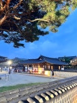 경기전의아침경 | #오늘여기클립 전주의 상징. 경기전의 밤