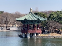 (주)코리아세븐 용산서빙고점 | 행복한 용산구여행 📌 국립중앙박물관 / 서울 용산구 서빙고로 137... 서울특별시 #용산구 #여행 #용산구여행 #사진여행 #용산구가볼만한곳...