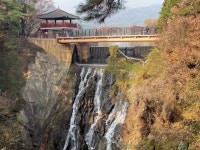 Foto aus Naver-Suchergebnissen 2