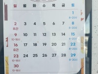 퍼스트짐서귀포서홍동점 | #퍼스트짐 #서귀포헬스 #서귀포운동 #서귀포헬스장 #오늘여기클립