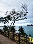 #오늘여기클립 #통영이순신공원