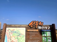 겨울에는 굴구이 서해 보령 천북굴단지 천수 굴집 추천