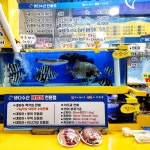 #오늘여기클립 #안면도바다수산 #안면도회포장 #안면도수산시장