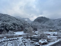 산정오늘베를린 | #오늘여기클립 #산정호수