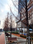 공원의 옆에 있는 사거리 교차로인데 여기 트레킹하다가 우연히 만난 노을이 이뻐서 찍어봤어요. ✅️🌅노을은 노을!구름 속에 숨은 햇님은...
