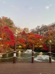 #오늘여기클립 서울대학교 자하연⛲️🍁