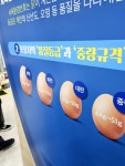 #오늘여기클립# 에그테크코리아 이름답게 계란에 관한 모든것