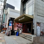 #오늘여기클립 압구정로데오 샤브오