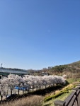 #오늘클립챌린지 #백운호수보다주차장이더만개