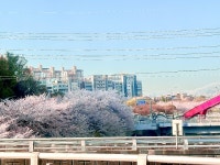 이마트위드미 용인보정로드점 | 용인 죽전 이마트 뒤 #오늘클립챌린지 #클립챌린저 #클립크리에이터
