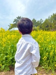 실시간 수성당 꽃 상황이에요! 4월 12일 방문했는데 거의 다 피었구 진짜 예뻤어요 🙂✨ #오늘여기클립 #부안여행 #여행 #클립챌린저...