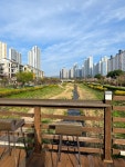 화양읍 동천리공원 마을체육시설 | #오늘클립챌린지 #치동천체육공원