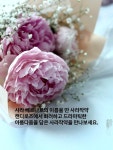 로즈앤캔디(flower cafe) | #오늘클립챌린지 다양한 생화가 있는 캔디로즈몰!