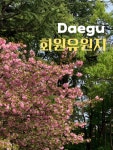 #오늘클립챌린지 #봄나들이 #화원유원지 #대구겹벚꽃 #대구겹벚꽃명소... 대구데이트 #대구가볼만한곳 #대구화원유원지 #겹벚꽃 #대구 #꽃구경